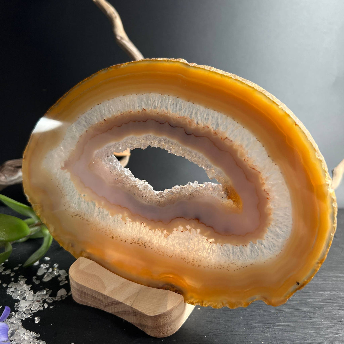 Große Achatscheibe in Honig- und Cremetönen mit Druzy-Hohlraum auf Holzhalter | Happy Minerals