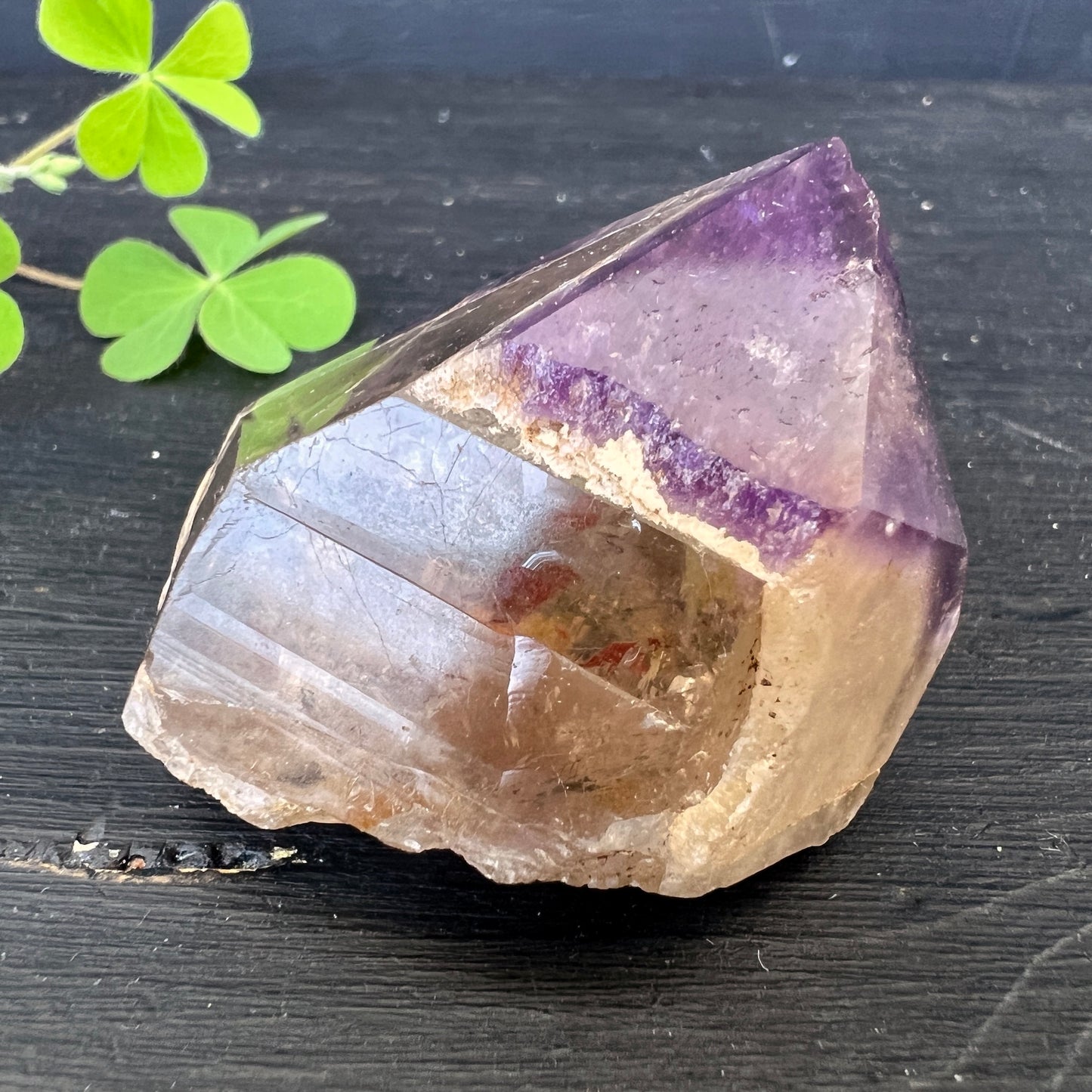 Dream Coat Amethyst-Citrin Rohkristall mit polierter Seite | 42g | Happy Minerals