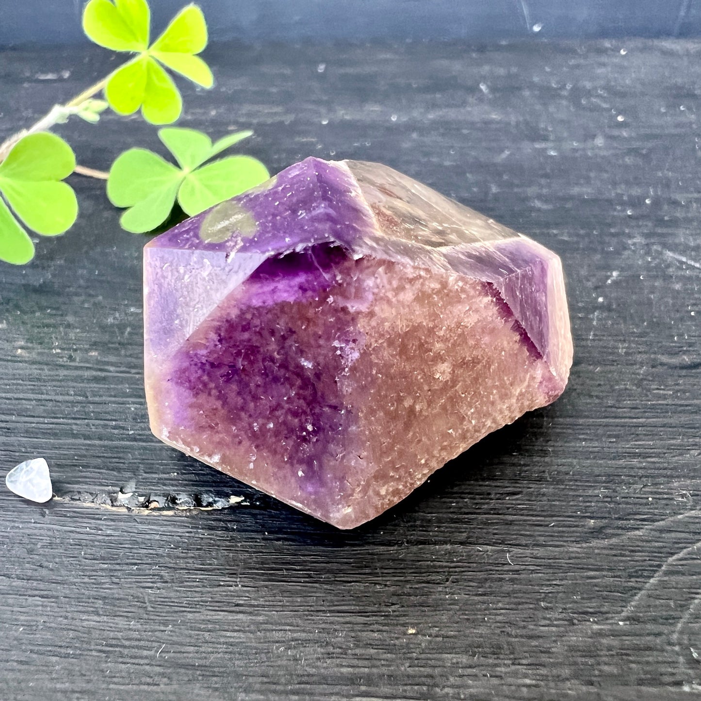 Dream Coat Amethyst-Citrin Rohkristall mit polierter Seite | Happy Minerals