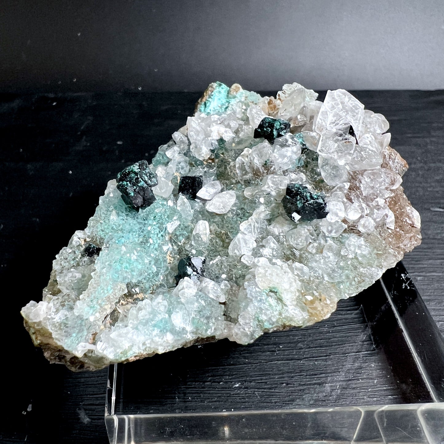 Gem Silica Chrysokoll mit türkisgrüner Farbe und Quarzkristallen auf Matrix | Happy Minerals