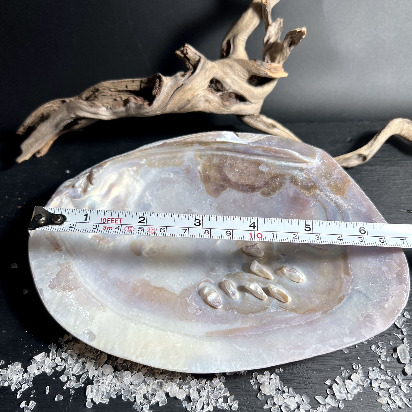 Blister-Muschel aus Perlmutt mit natürlicher Struktur | Happy Minerals