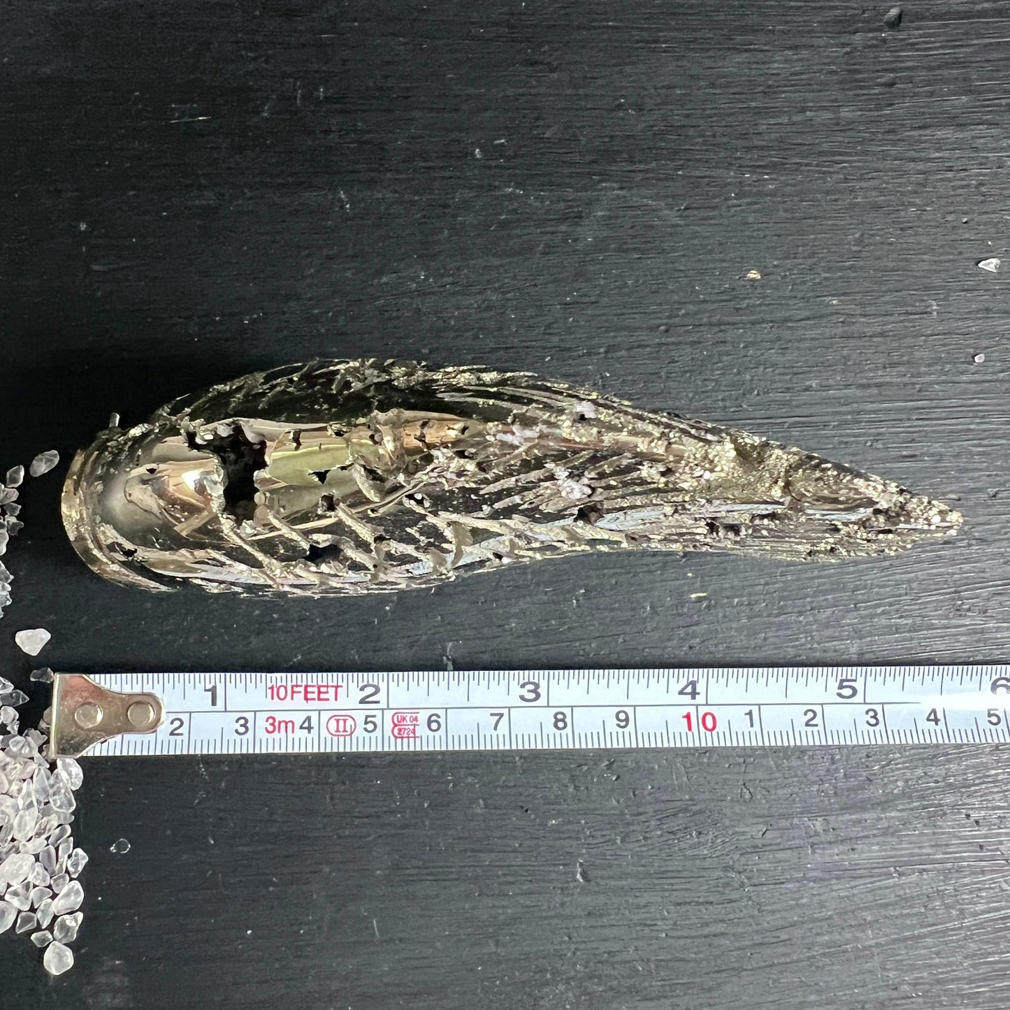 Pyrit Fisch Peru | Draufsicht mit Massband | ca. 15 cm lang | Unikat | Happy Minerals
