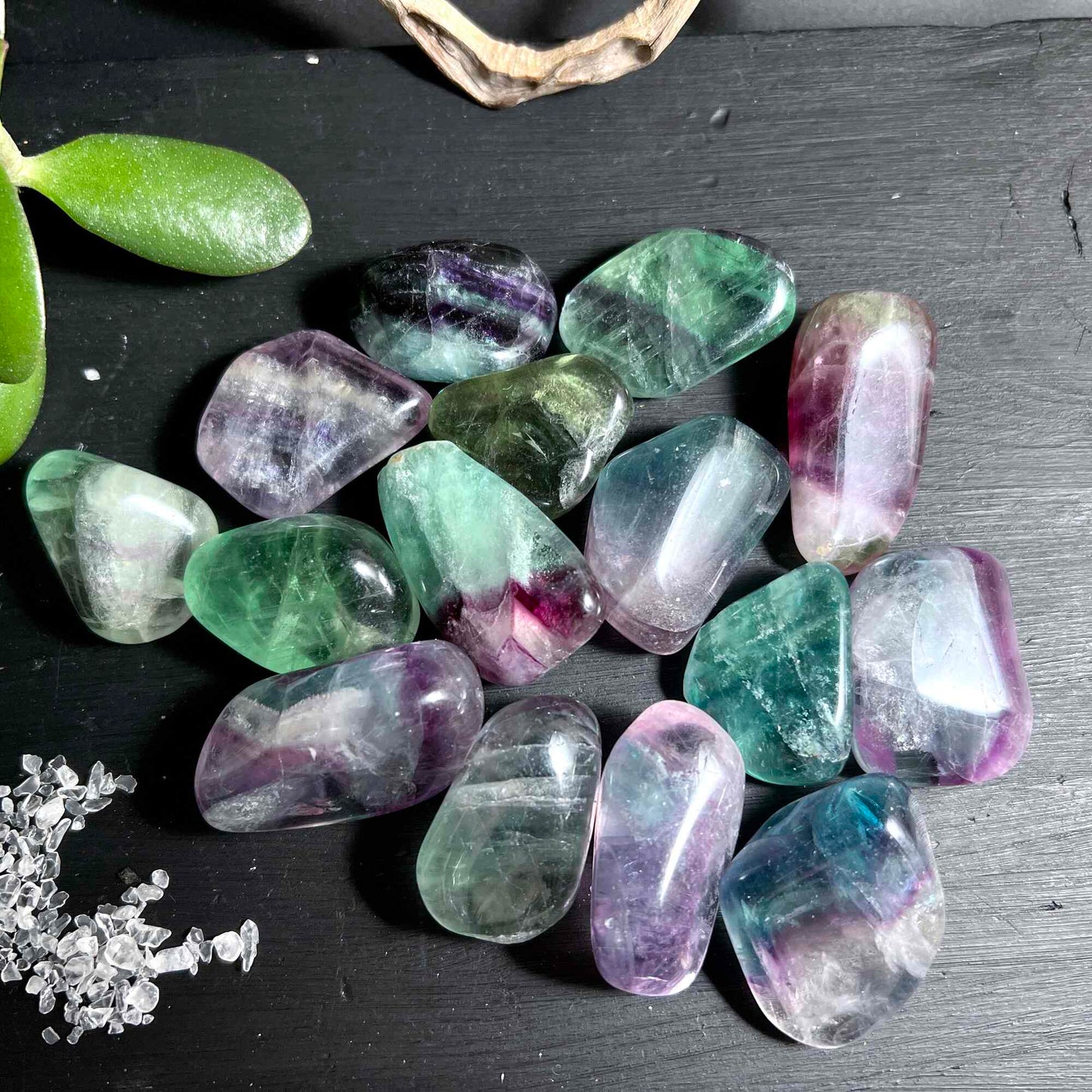 Regenbogenfluorit Trommelsteine Flatlay mit Sukkulente und Bergkristall Chips