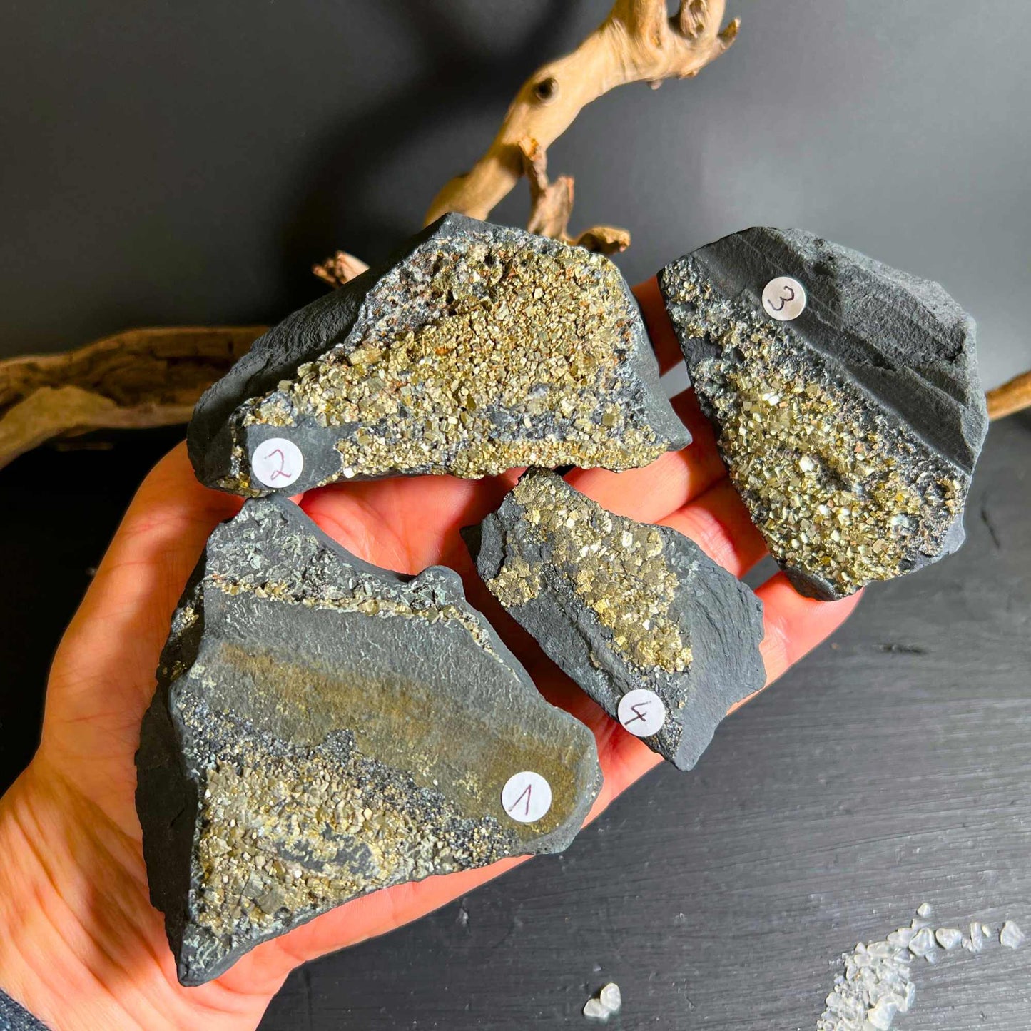 Auswahl 1–4 Pyrit-Schungit-Steine mit natürlicher Struktur | Happy Minerals