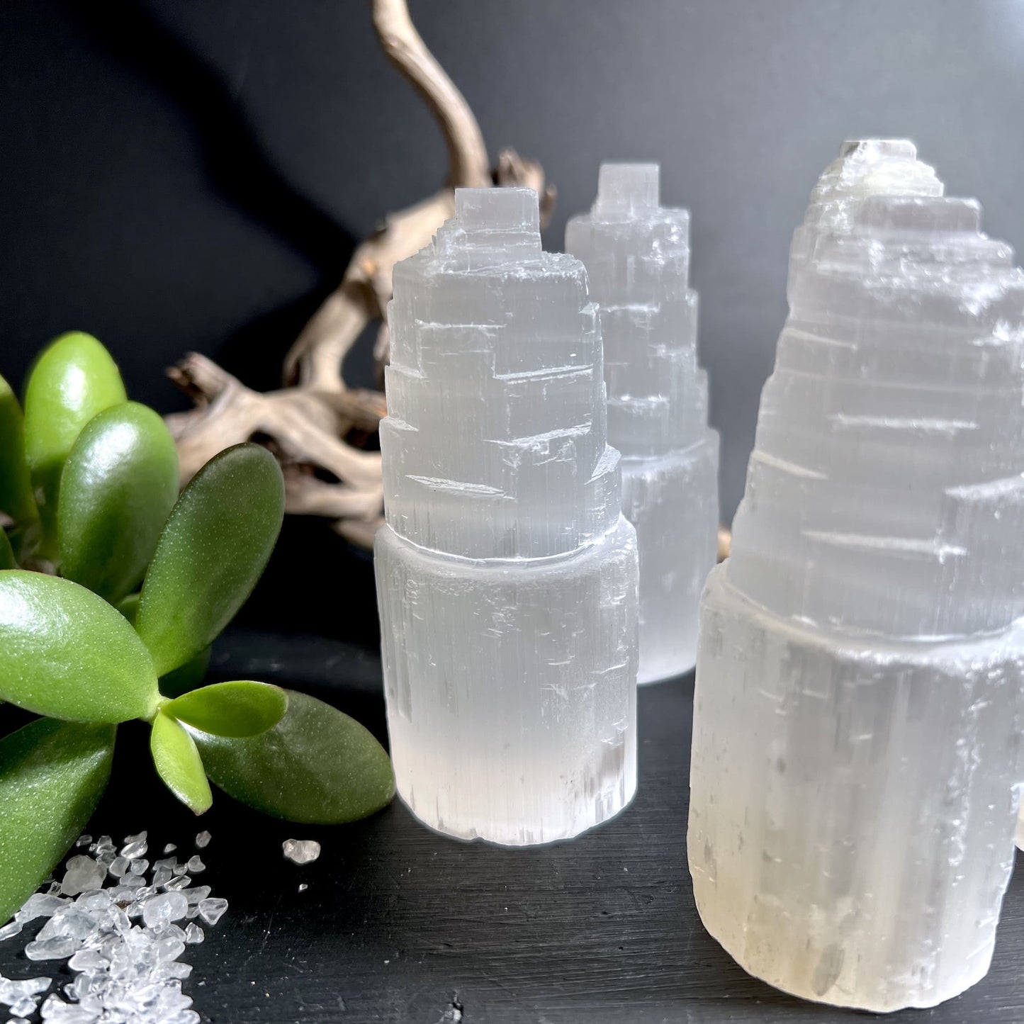 Selenitturm stimmungsvoll dekoriert mit Sukkulente und Treibholz Wohnambiente