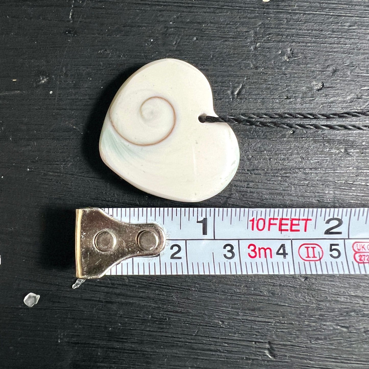 Shiva Auge Herzform | Größenvergleich Maßband | 4cm | natürlicher Meeresschnecken-Deckel | Happy Minerals