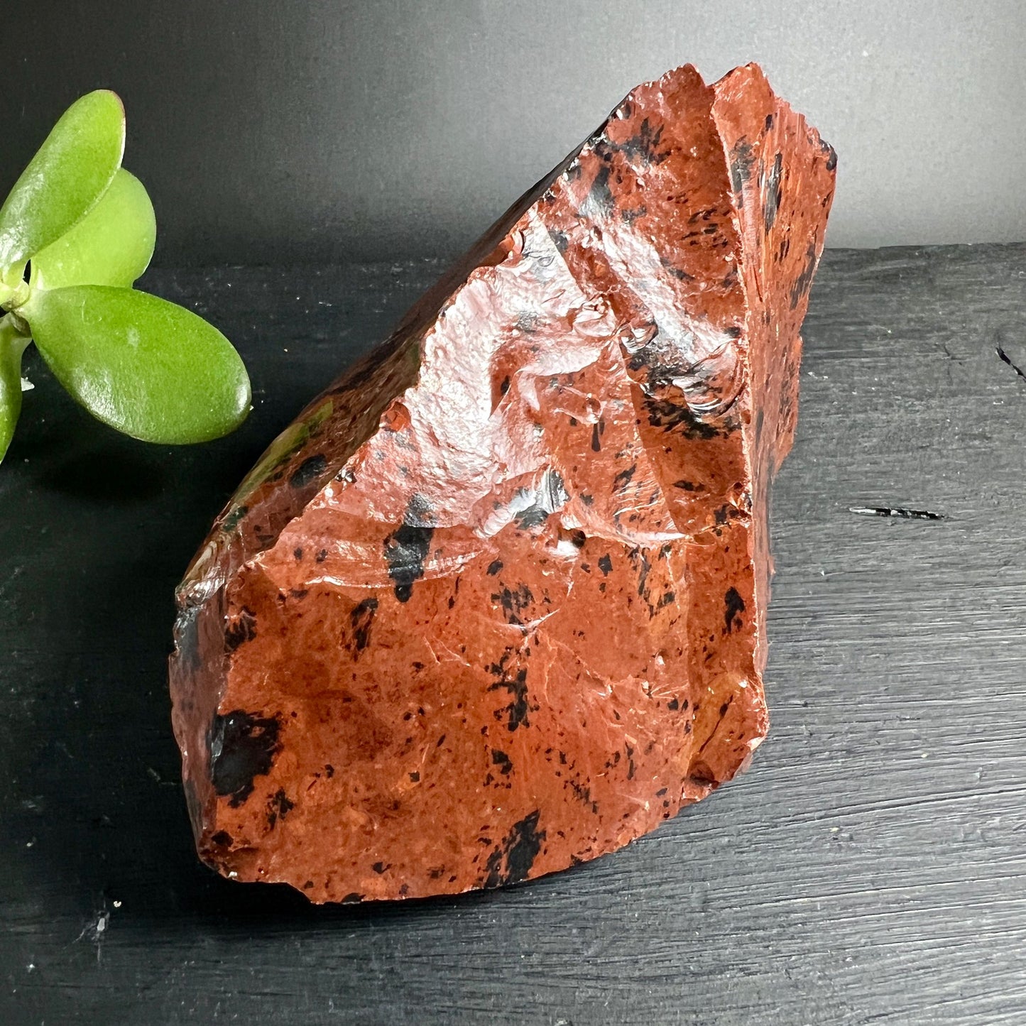 Woodgrain Obsidian Rohstein | Rückseite | natürliche Bruchkanten | rotbraune Holzmaserung | Happy Minerals