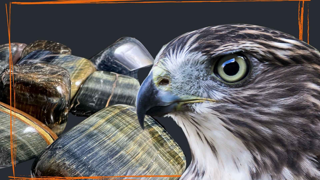 Falkenauge Wirkung und Bedeutung Blogbeitrag | Happy Minerals