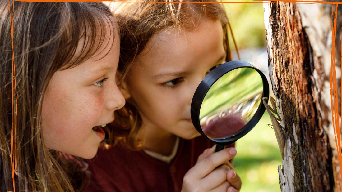 Kristalle für Kinder - Blogbeitrag - Happy Minerals