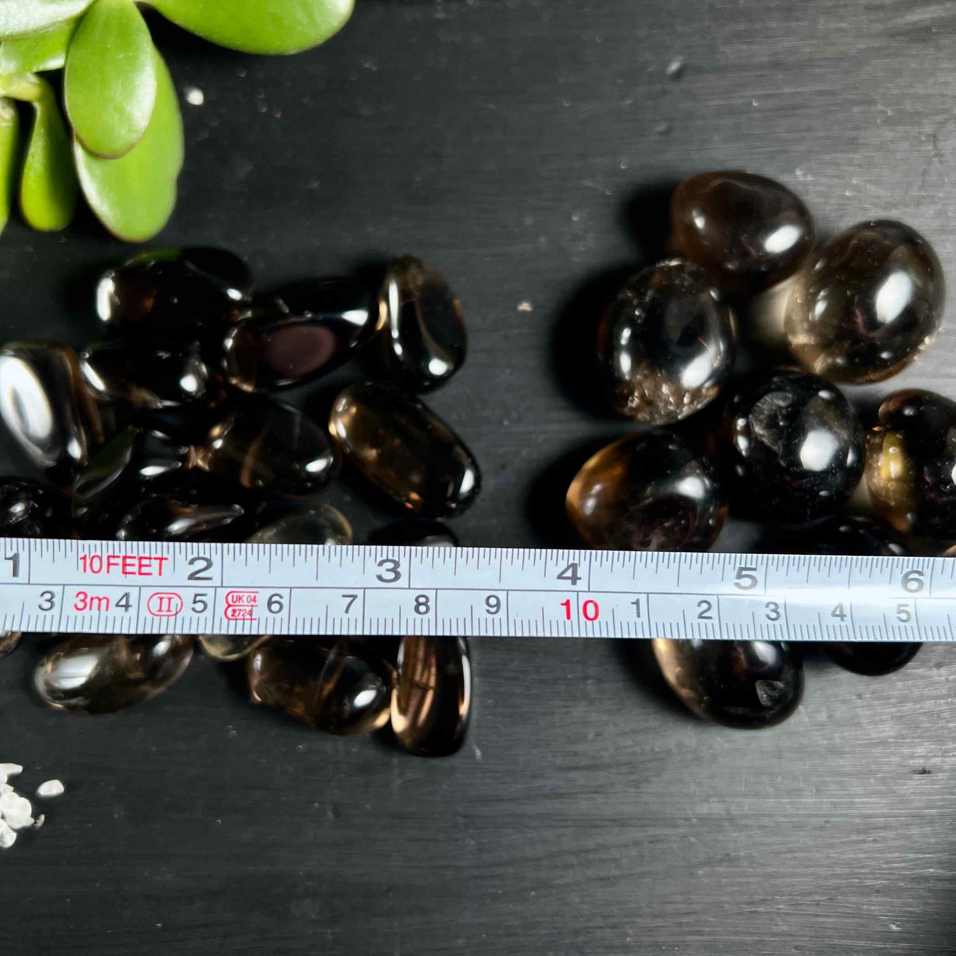 Klarer Rauchquarz | S-Size und L-Size mit Maßstab | auf schwarzem Untergrund | Happy Minerals