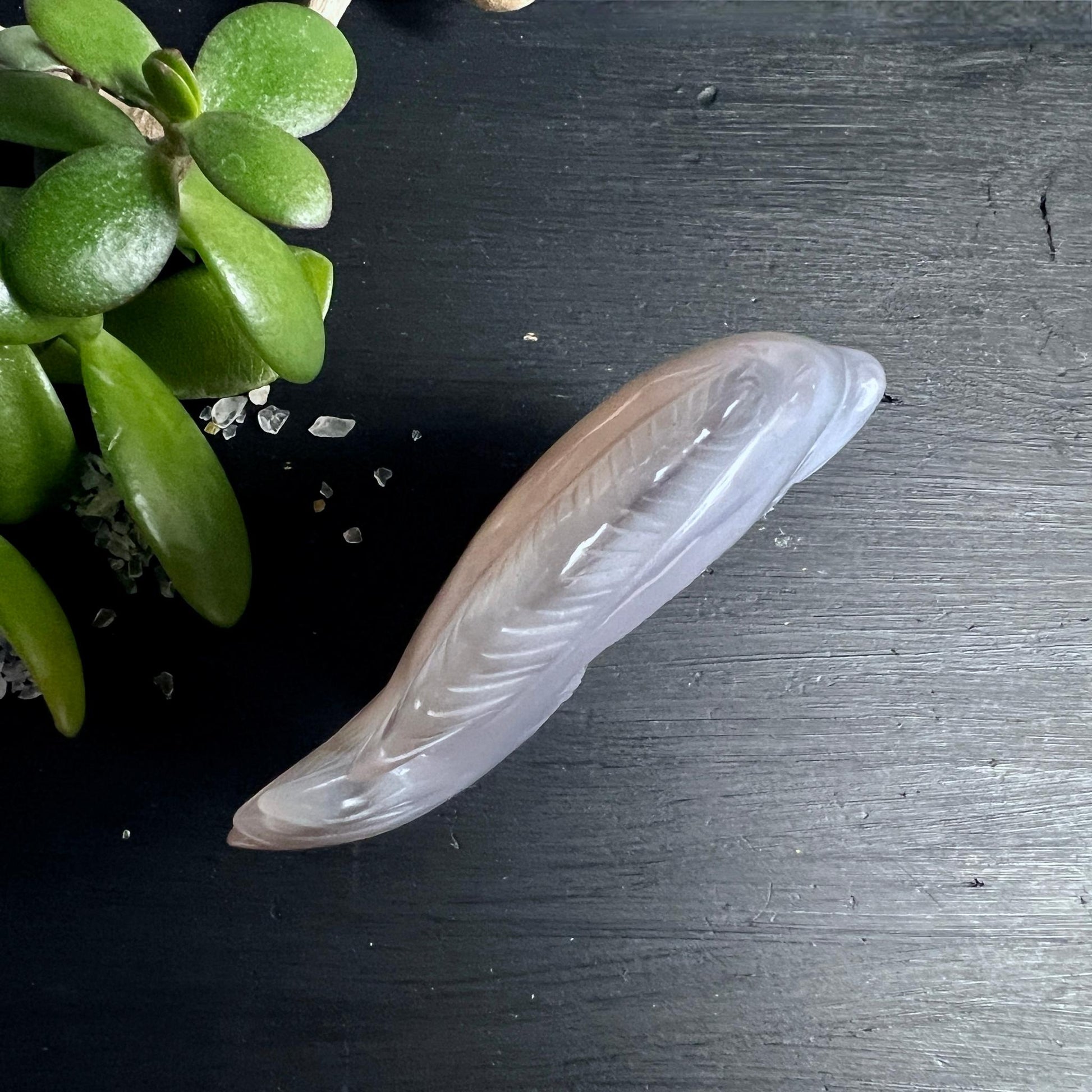 Achat Fisch von oben