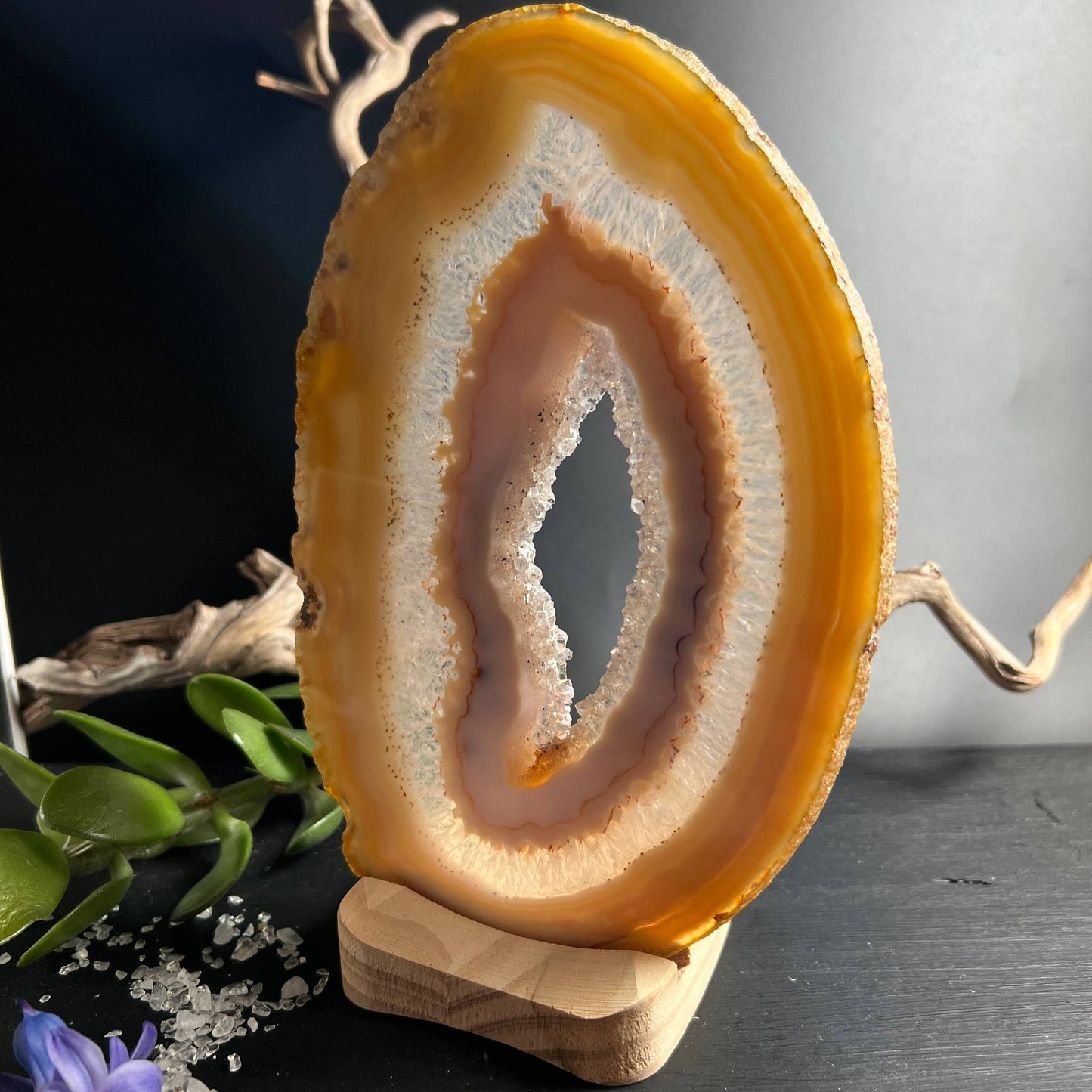Achatscheibe aufrecht im Holzhalter mit leuchtendem Bernsteinrand und Druzy-Zentrum | Happy Minerals