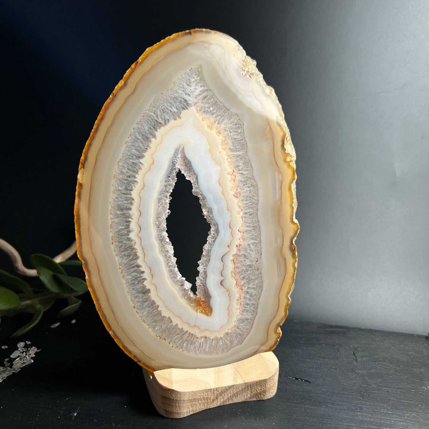 Rückseite der großen Achatscheibe mit feinen Bändern auf Holzhalter stehend | Happy Minerals