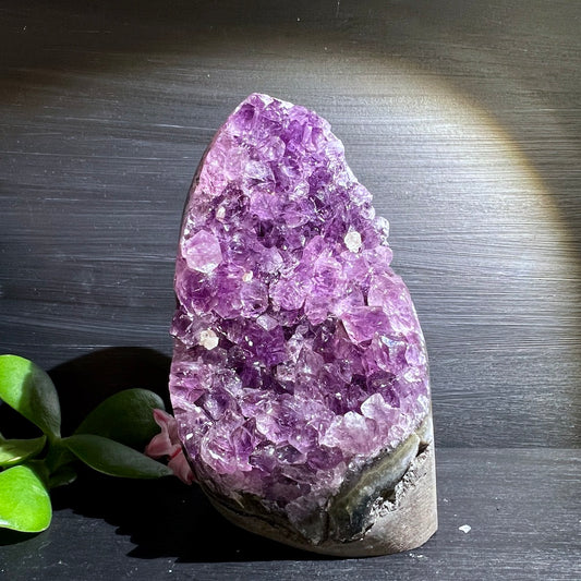 Beeindruckender Uruguay Amethyst, der an den Kanten perfekt poliert ist und stehend seine Kristalle offenbart. Er hat eine natürliche, bewegte Form. | Happy Minerals