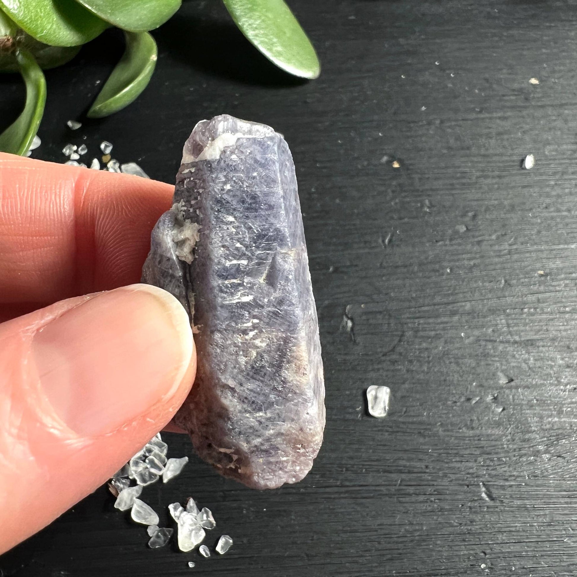 Unbehandelter bicolor Saphir Rohstein in der Hand | blauviolette Farbnuancen | Happy Minerals