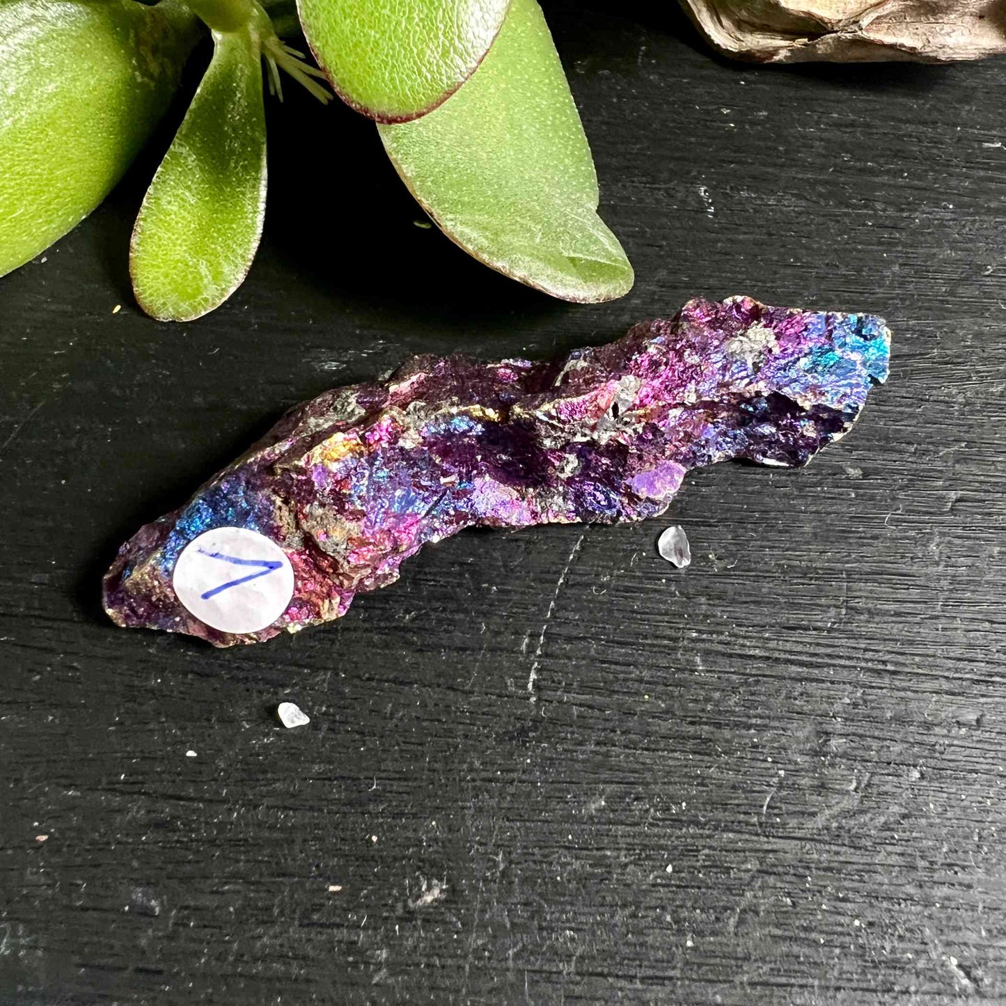 Rough Chalcopyrite Ore 50mm | Rainbow Shimmer for Transformation and Joie de Vivre