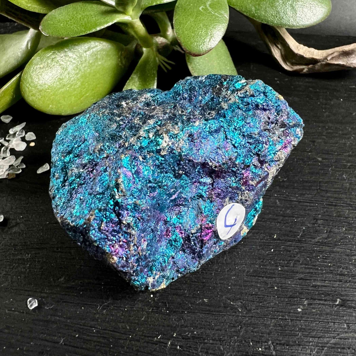 Rough Chalcopyrite Ore 50mm | Rainbow Shimmer for Transformation and Joie de Vivre