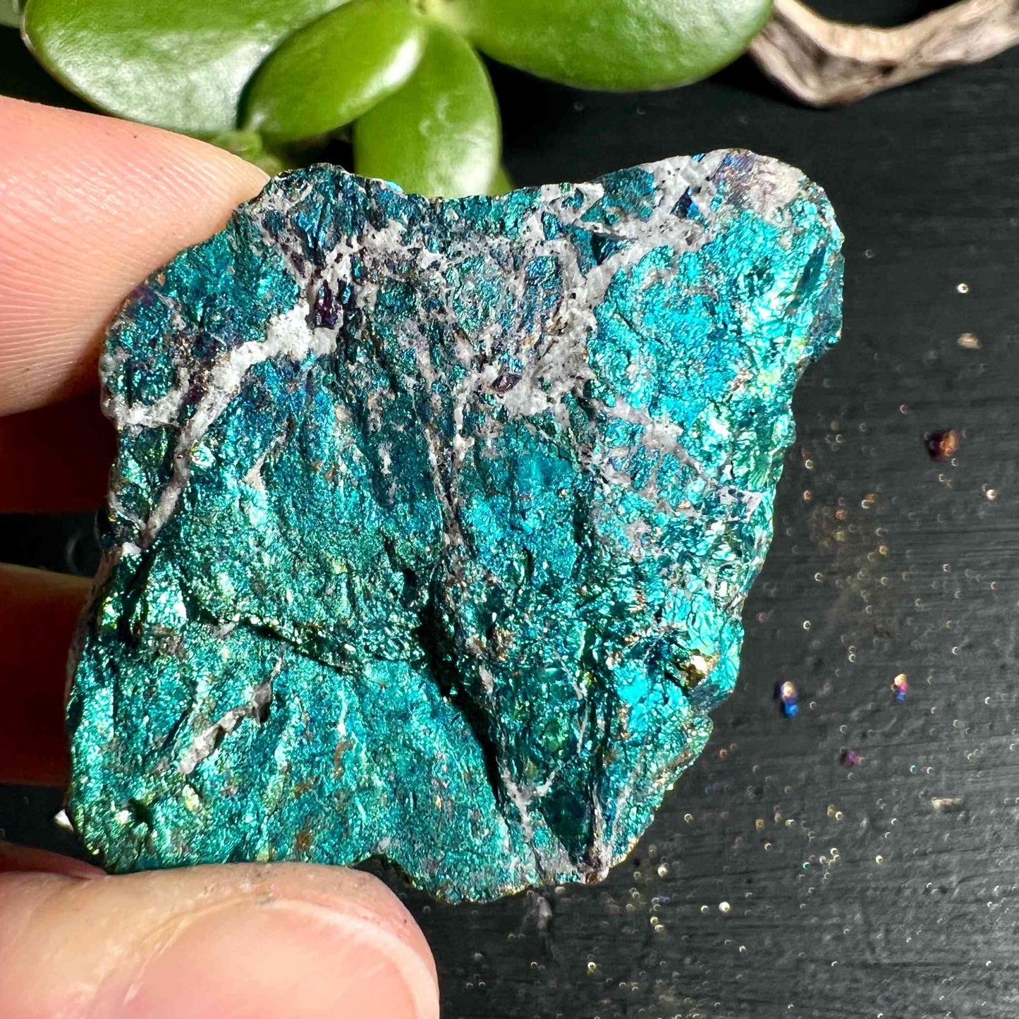 Rough Chalcopyrite Ore 50mm | Rainbow Shimmer for Transformation and Joie de Vivre