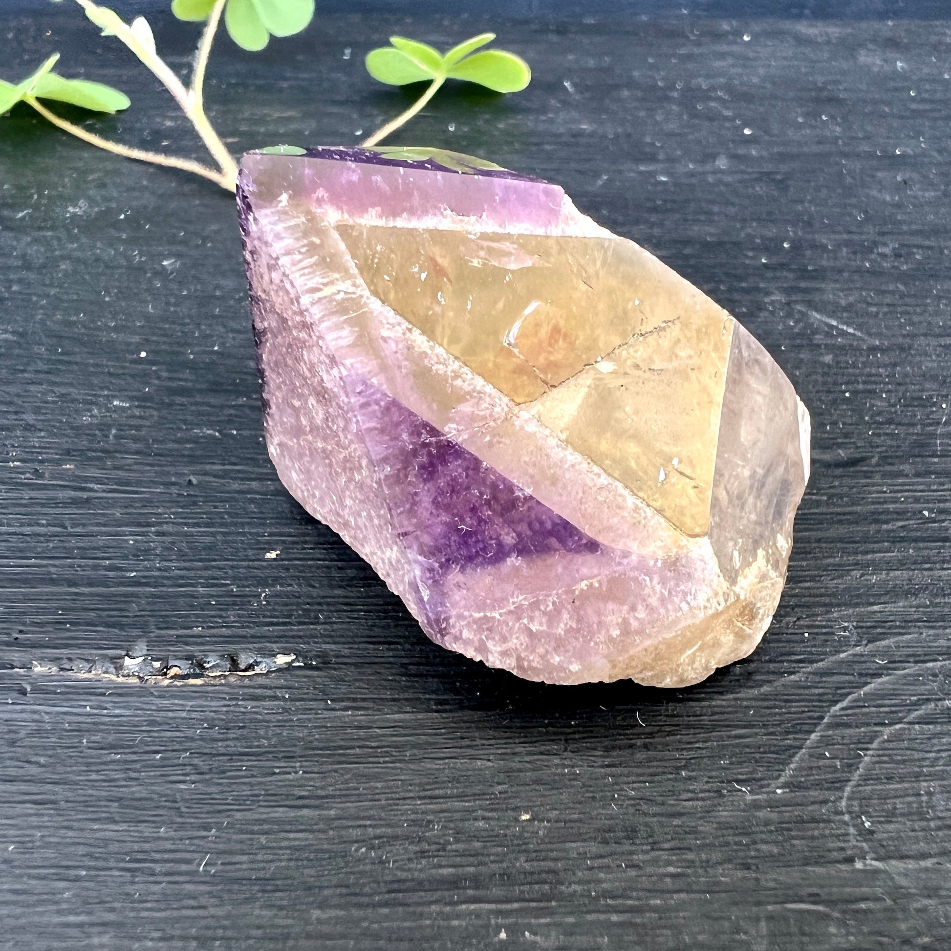 Dream Coat Amethyst-Citrin Rohkristall mit polierter Seite | 42g | ca. 41mm | Happy Minerals