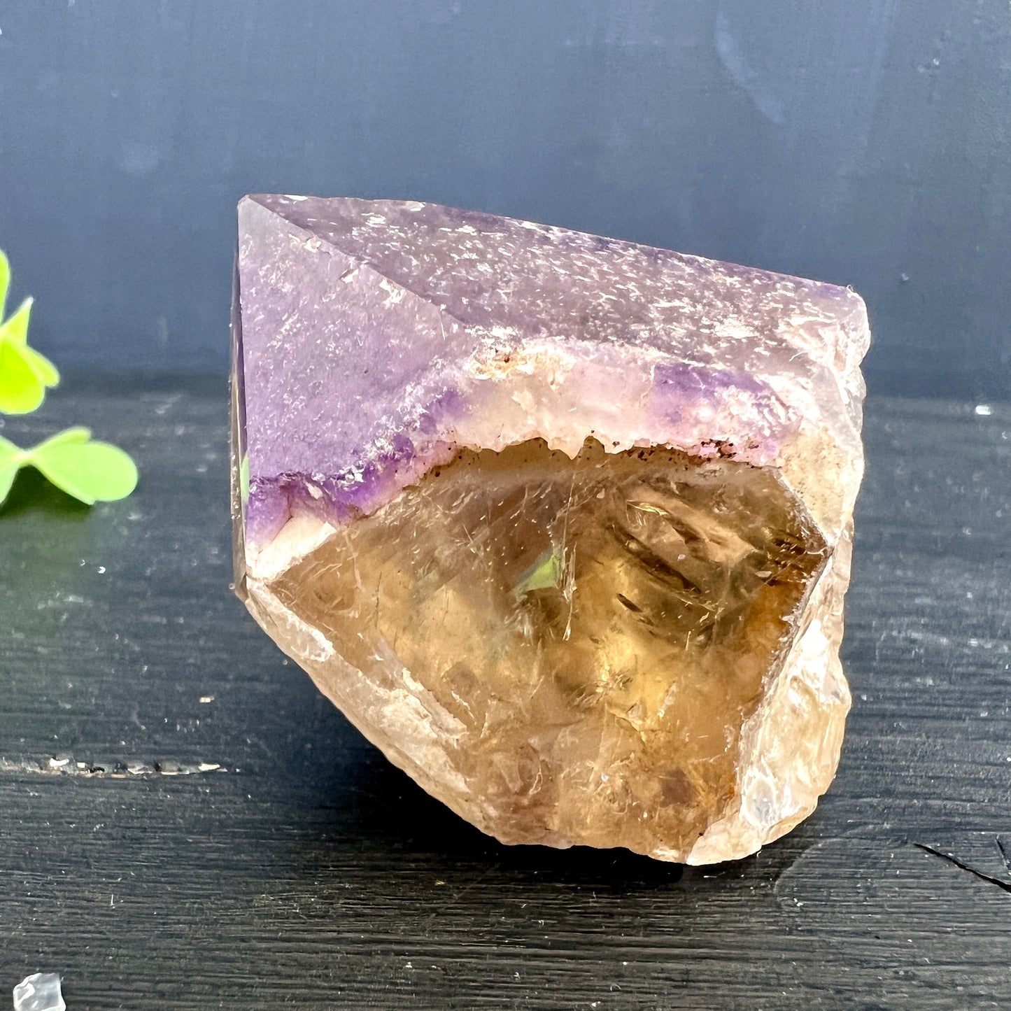 Dream Coat Amethyst auf goldenem Citrin 68g |HappyMinerals