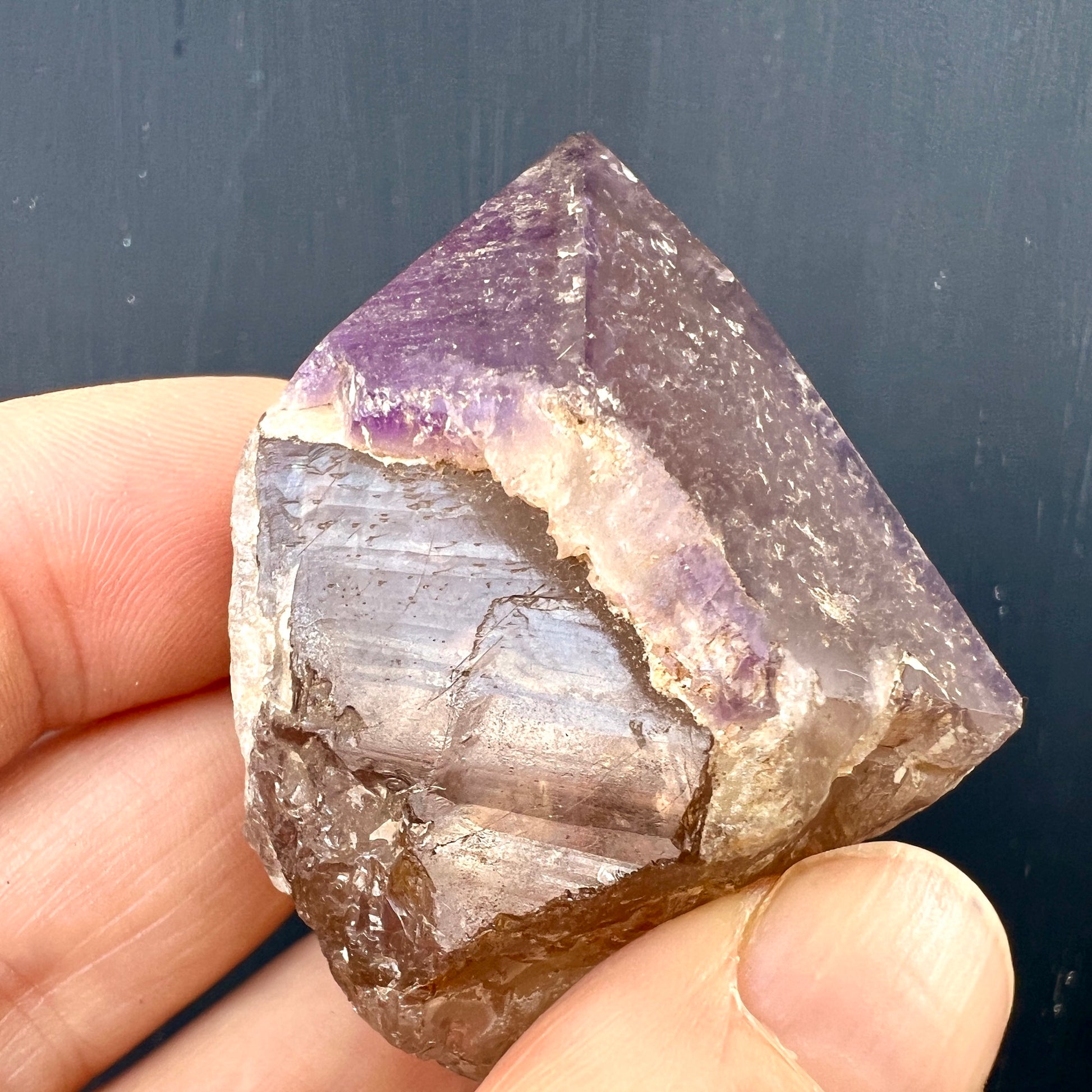 Dream Coat Amethyst auf goldenem Citrin in der Hand |HappyMinerals