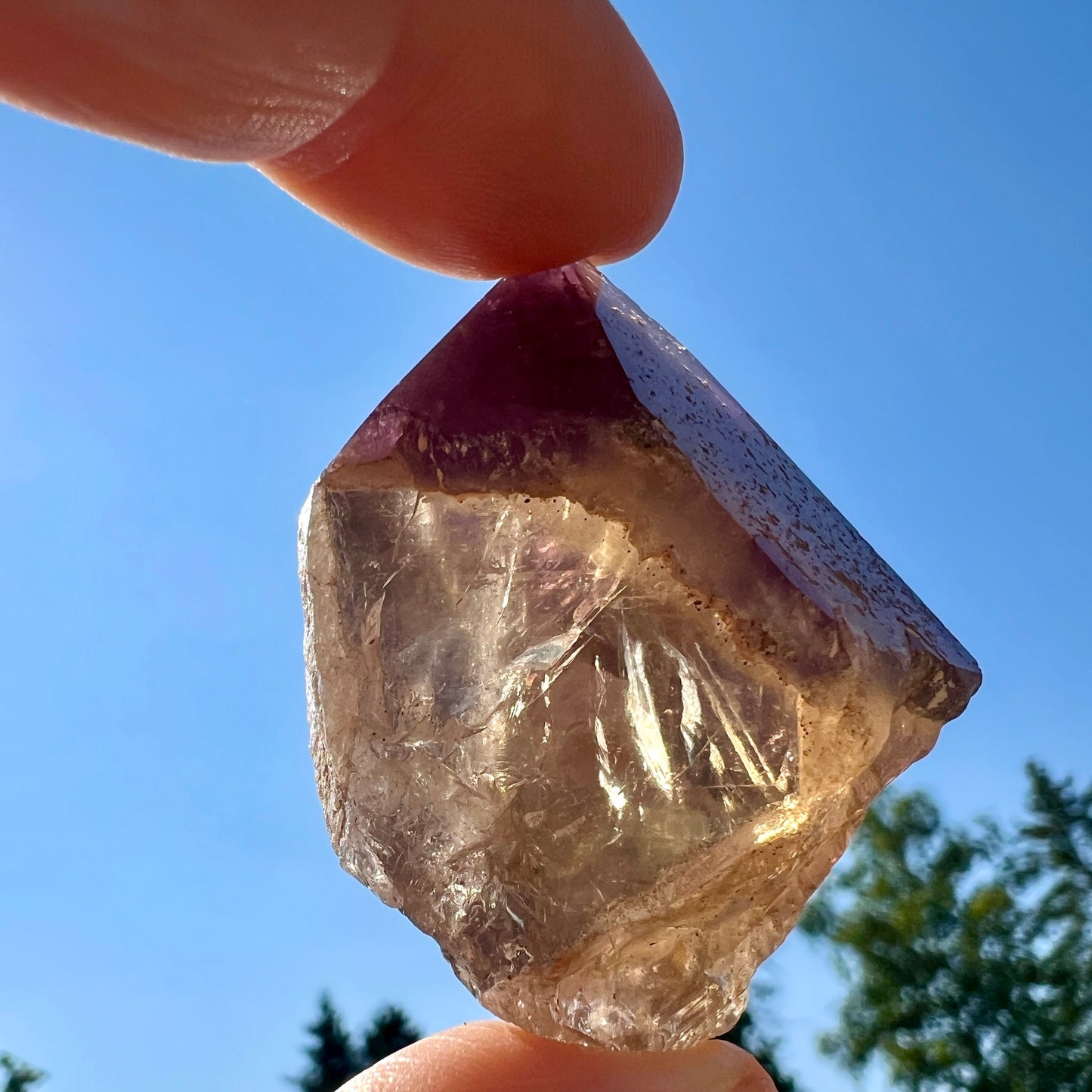 Dream Coat Amethyst auf goldenem Citrin in der Sonne |HappyMinerals