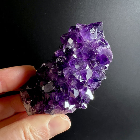 Dunkelvioletter Uruguay Amethyst Kristall auf schwarzem Untergrund mit starkem Glanz | Happy Minerals
