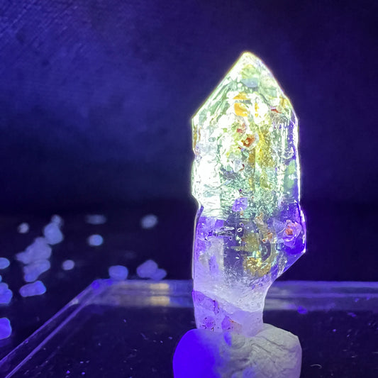 Firefly Quarz - Petroleum Zepter Quarz, in UV Licht | Happy Minerals