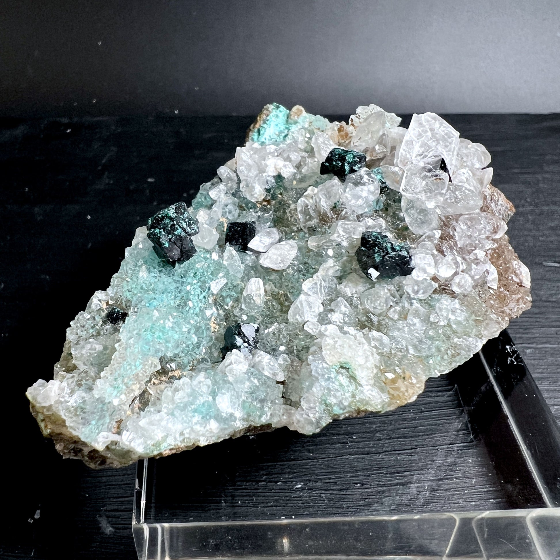 Gem Silica Chrysokoll mit türkisgrüner Farbe und Quarzkristallen auf Matrix | Happy Minerals