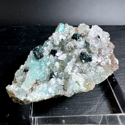 Gem Silica Chrysokoll mit türkisgrüner Farbe und Quarzkristallen auf Matrix | Happy Minerals