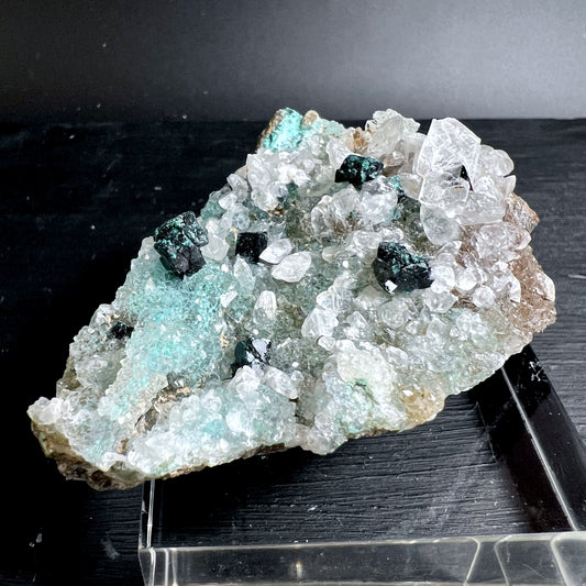 Gem Silica Chrysokoll mit türkisgrüner Farbe und Quarzkristallen auf Matrix | Happy Minerals