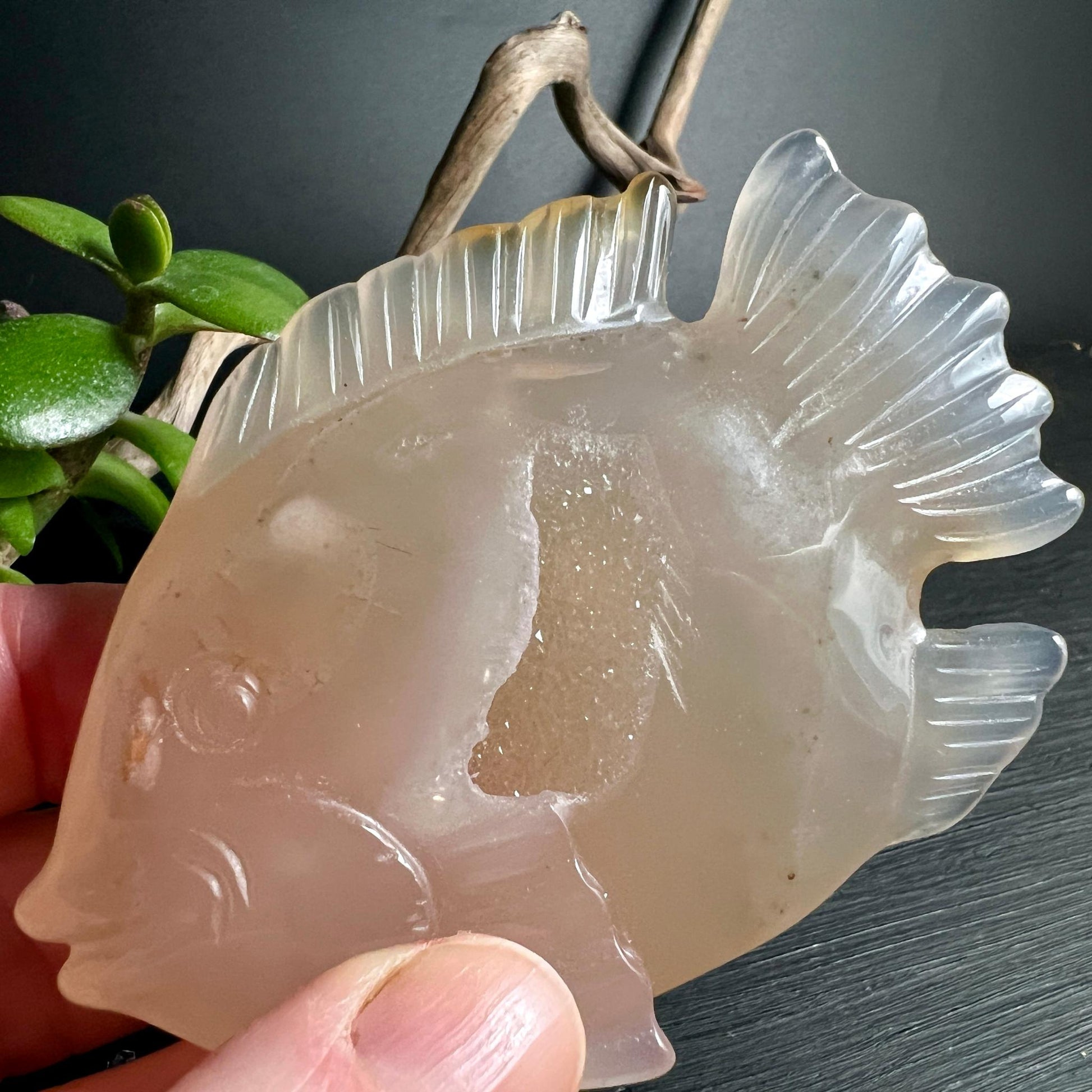 Handgeschnitzter Achat Fisch in der Hand