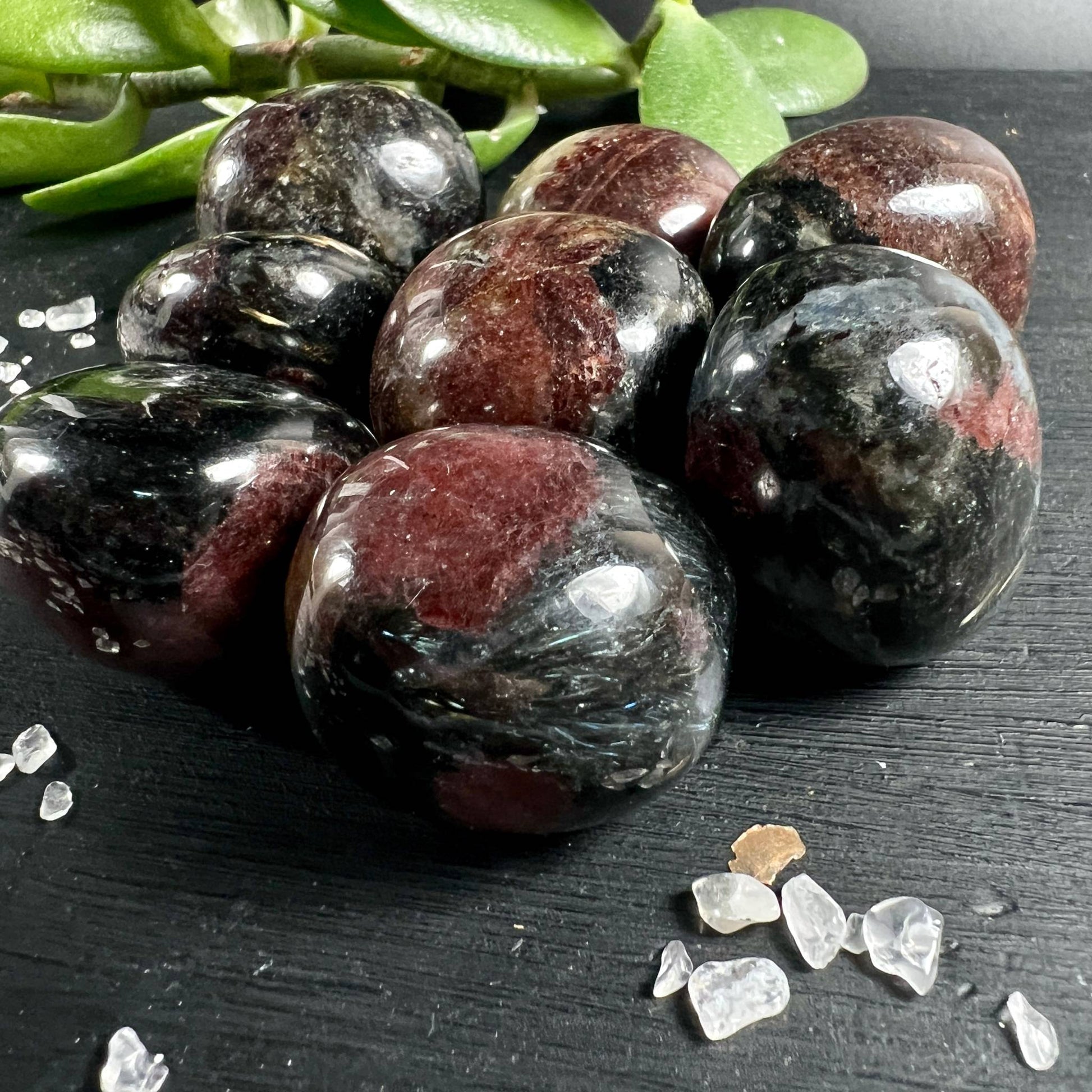 Granat Trommelsteine mit Arfvedsonit auf dunklem Holz - Happy MInerals