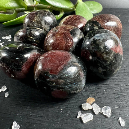 Granat Trommelsteine mit Arfvedsonit auf dunklem Holz - Happy MInerals