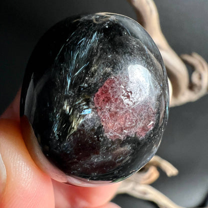 Granat mit blauen Arfvedsonit-Nadeln Nahaufnahme - Happy Minerals