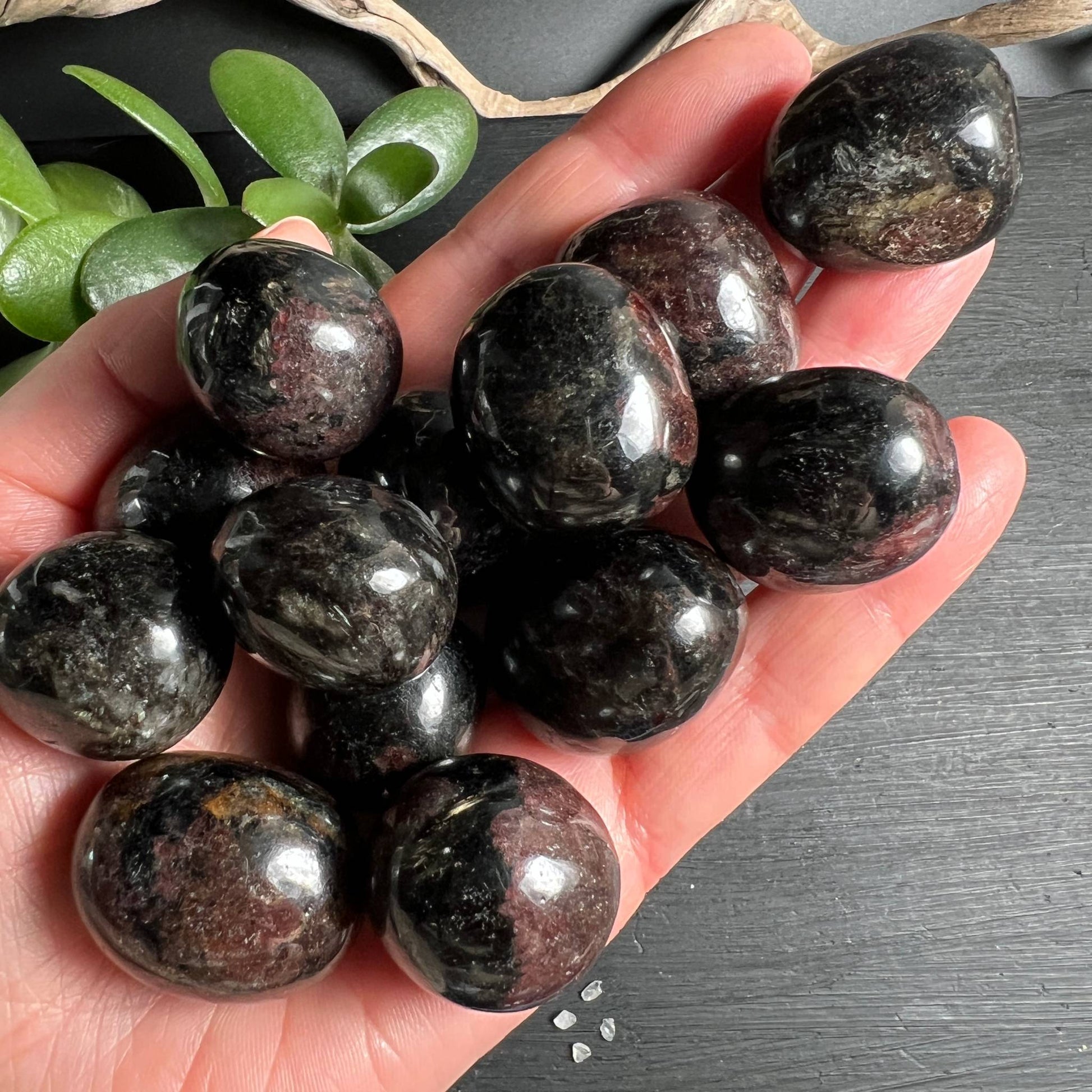 Granat mit Arfvedsonit Sammlung in Handflaeche - Happy Minerals