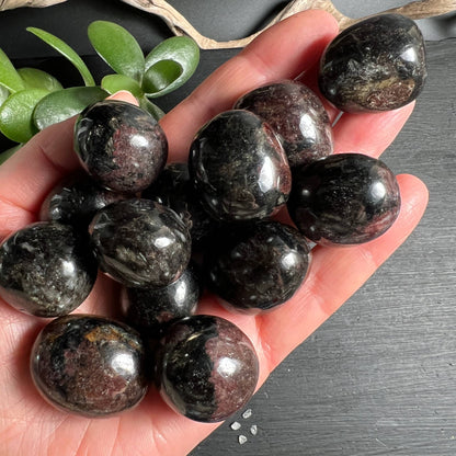 Granat mit Arfvedsonit Sammlung in Handflaeche - Happy Minerals
