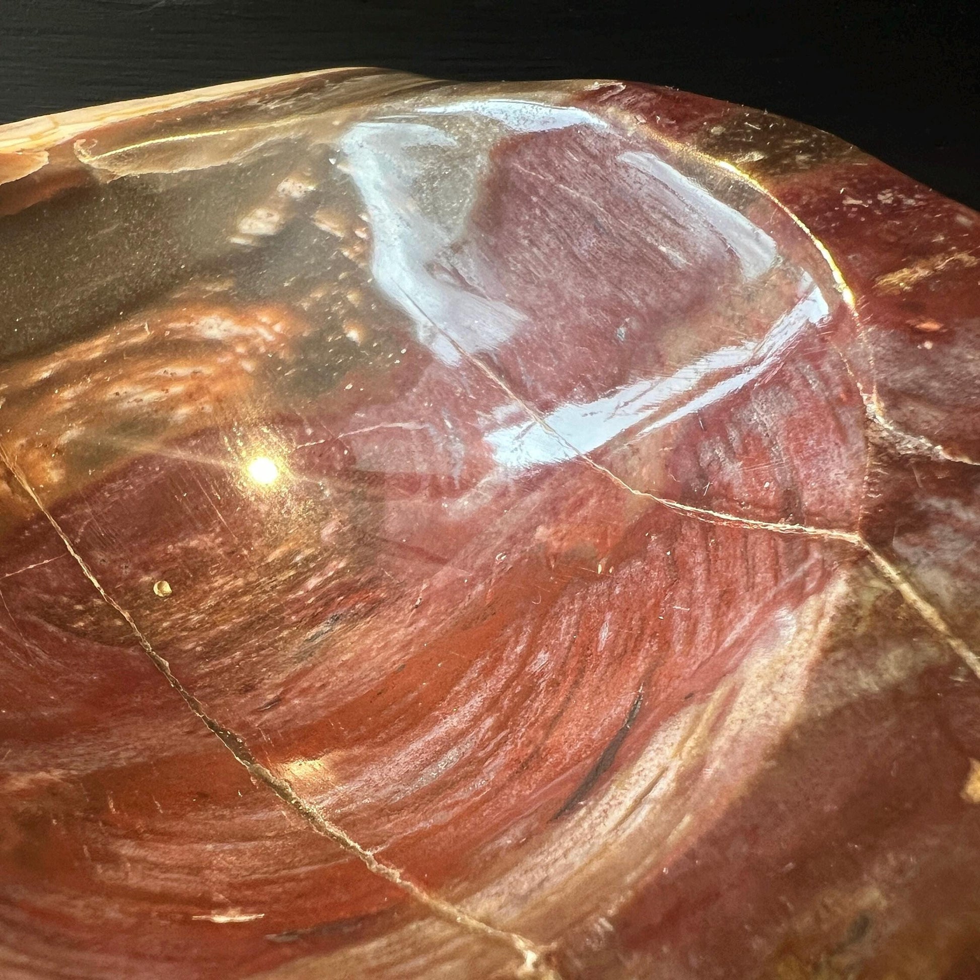 Große Steinschale | Rotes, Versteinertes Holz | Detailaufnahme | Happy Minerals