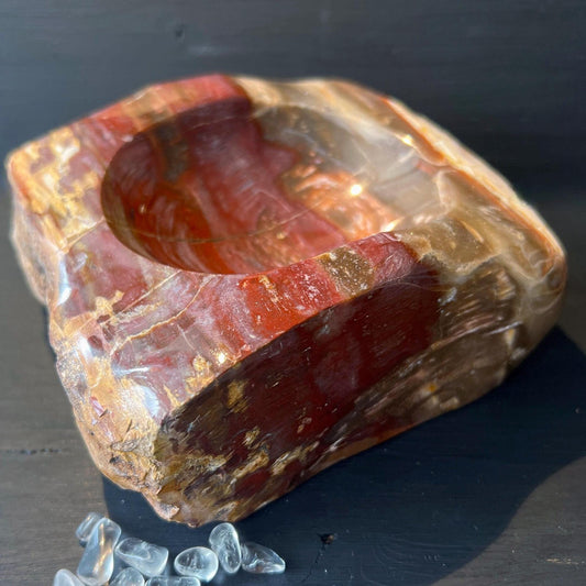 Große Steinschale | Rotes, Versteinertes Holz | Fossile Holzschale |Happy Minerals