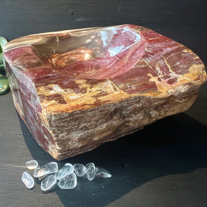 Große Steinschale | Rotes, Versteinertes Holz | seilich | Happy Minerals