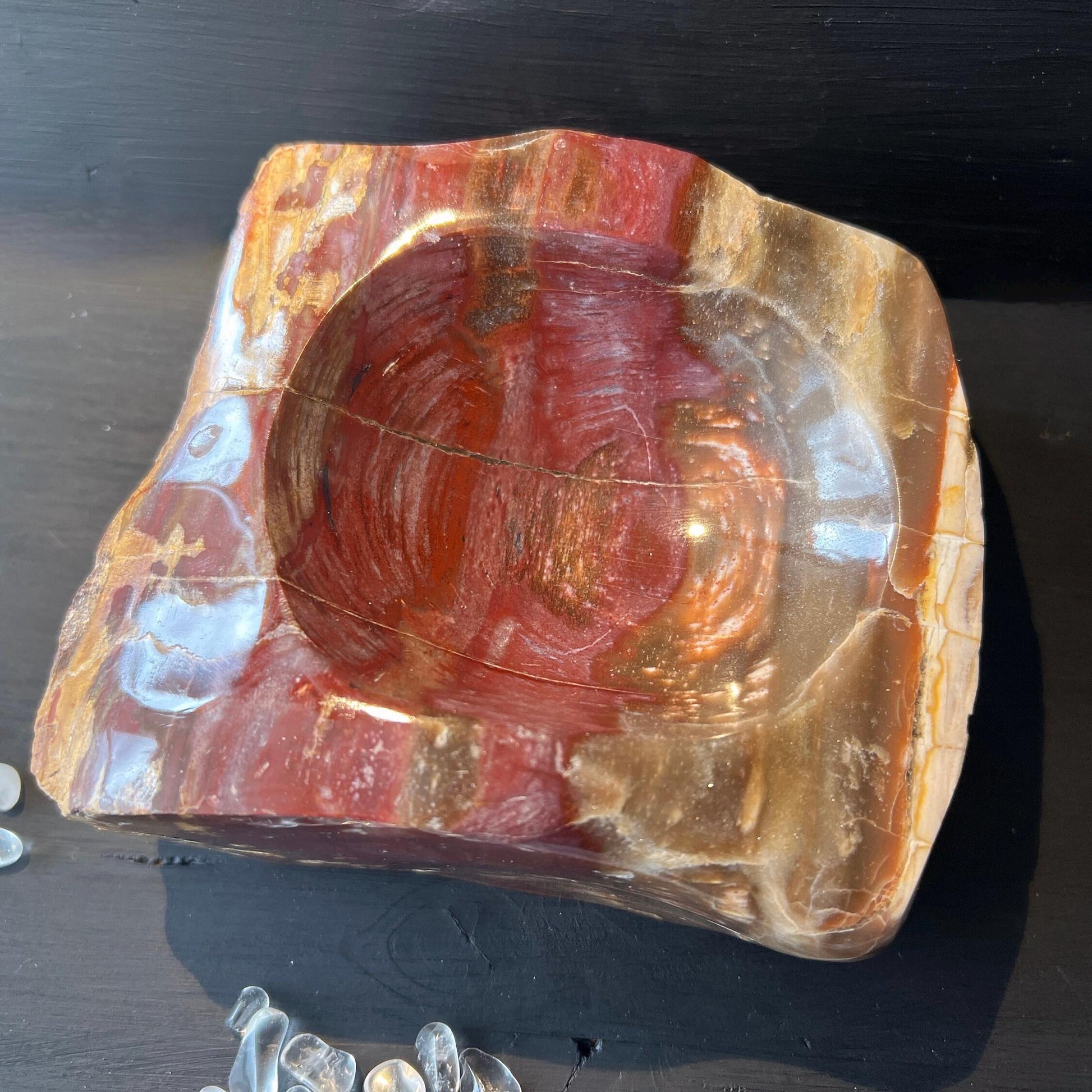 Große Steinschale | Rotes, Versteinertes Holz | von oben | Happy Minerals