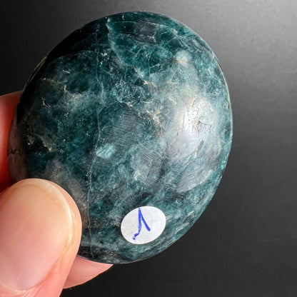 Grüner Apatit Handschmeichler Nr. 1 in der Hand, ca. 5 cm, Madagaskar – Happy Minerals