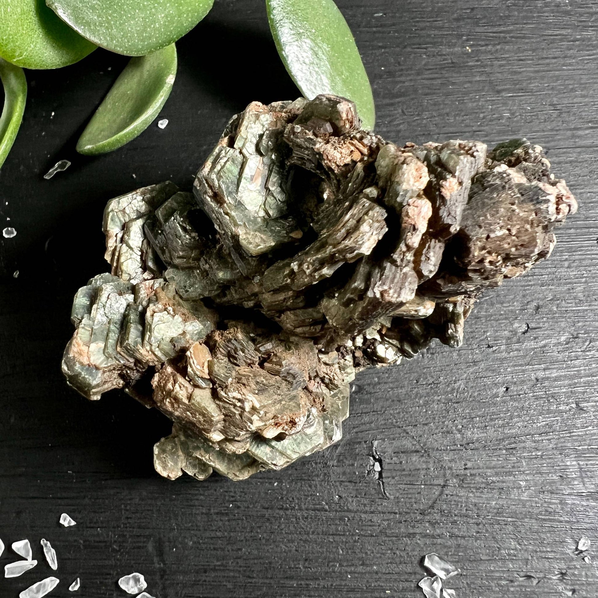 Grüner Muscovit Specimen Draufsicht | rosettenförmige Glimmerschichten aus Mali | Happy Minerals