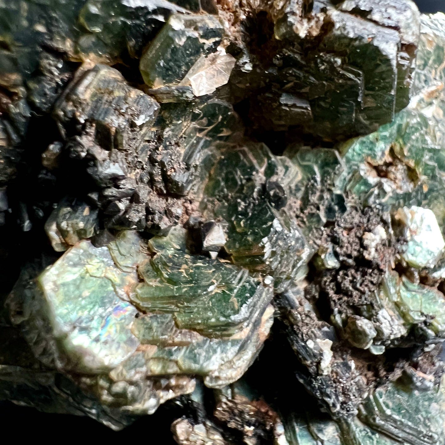 Grüner Muscovit Fuchsit Makro | Regenbogenglanz auf Glimmerflächen | Happy Minerals
