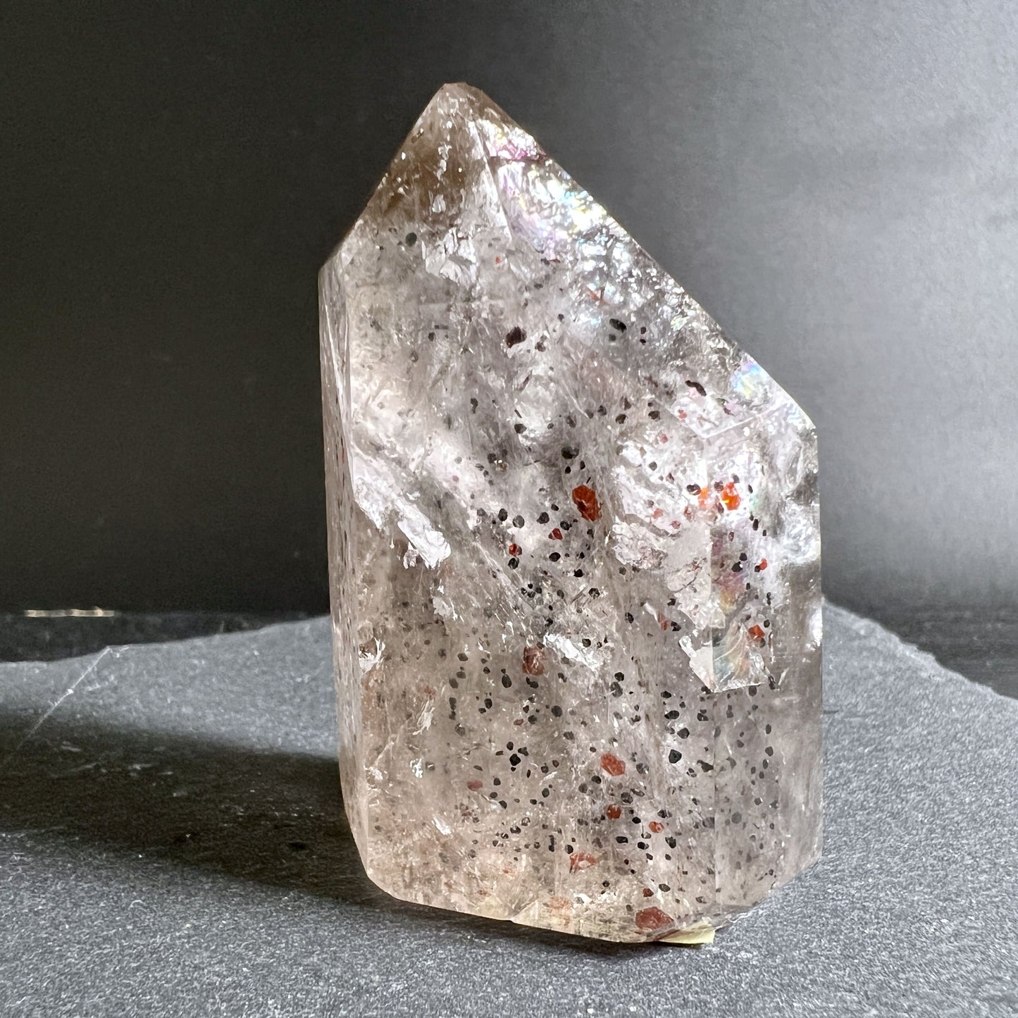 Reserviert! Koma Koch mit Phantasie - Livesale