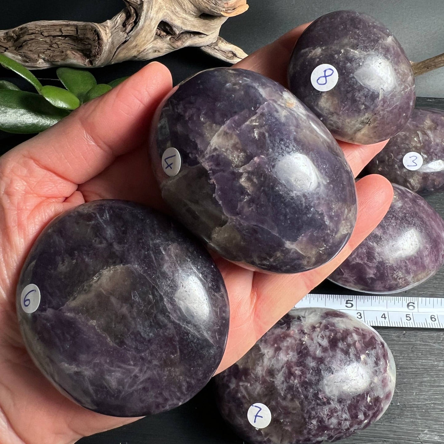 Lepidolith Palmstones in der Hand Groessenvergleich | polierte Unikate violett | Happy Minerals
