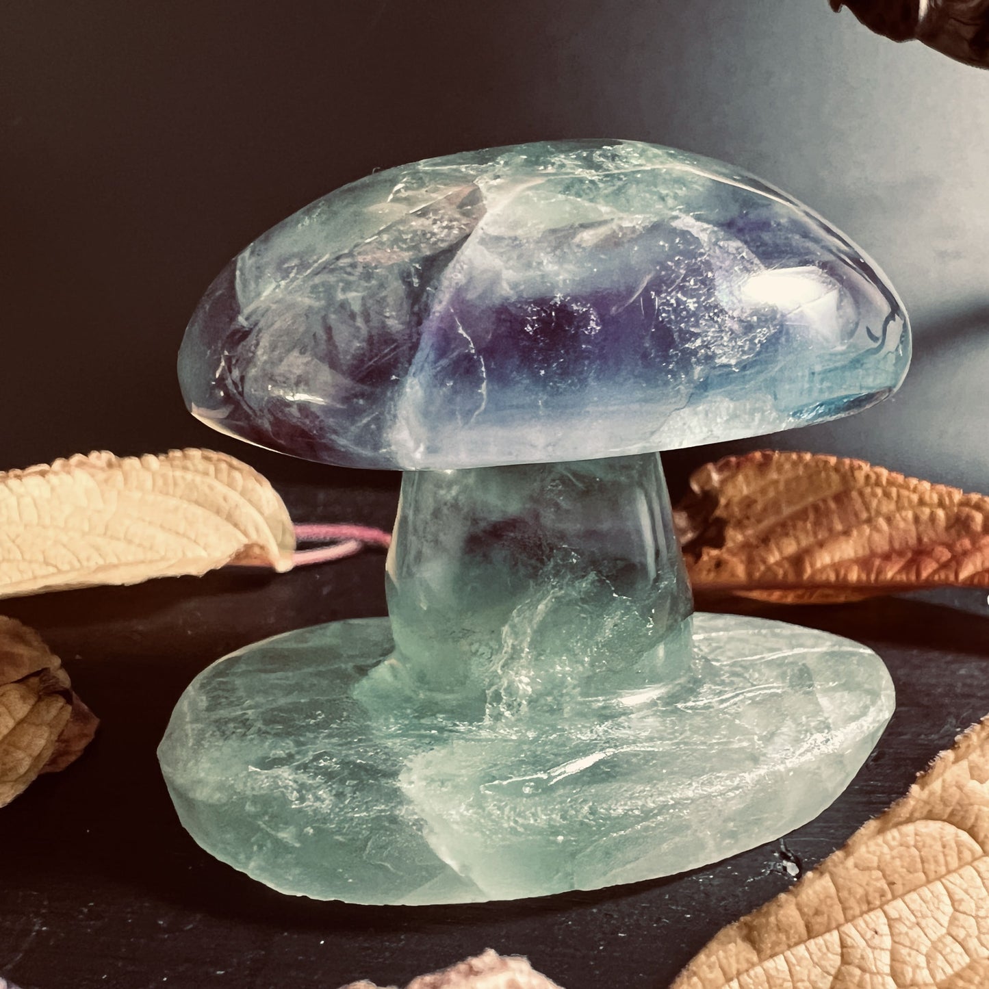 Pilz aus Fluorit Stein Front  HappyMinerals