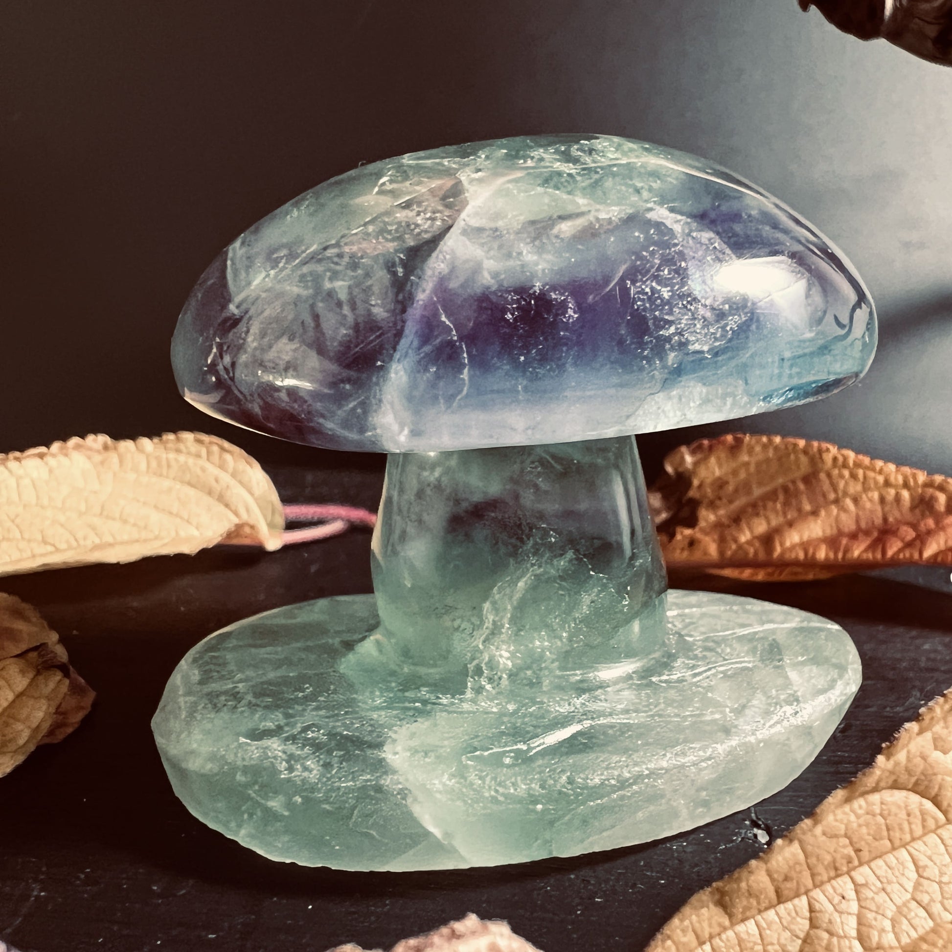 Pilz aus Fluorit Stein Front  HappyMinerals
