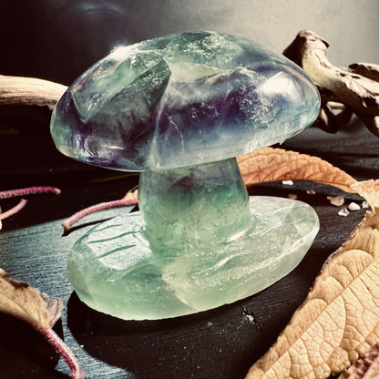 Pilz aus Fluorit Stein mit Laub  HappyMinerals