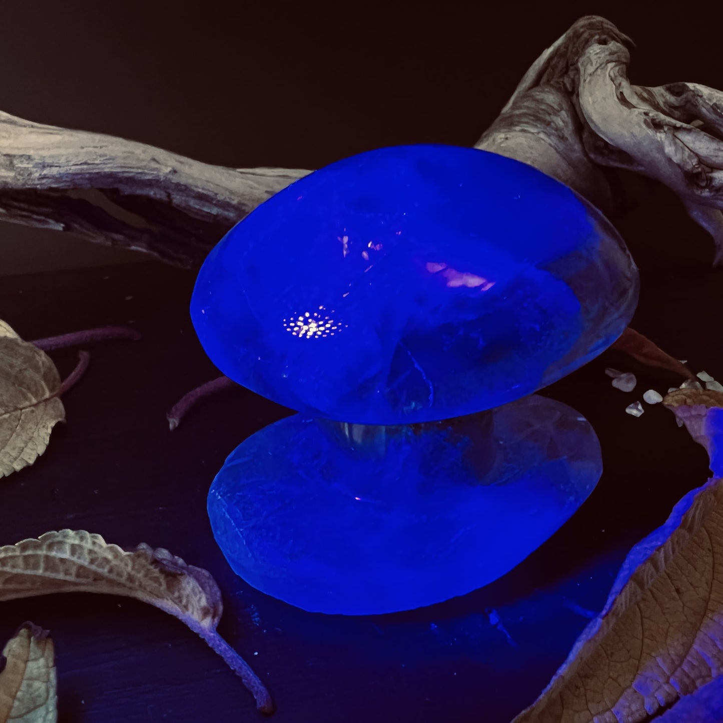 Pilz aus Fluorit Stein mit UV-Licht | HappyMinerals